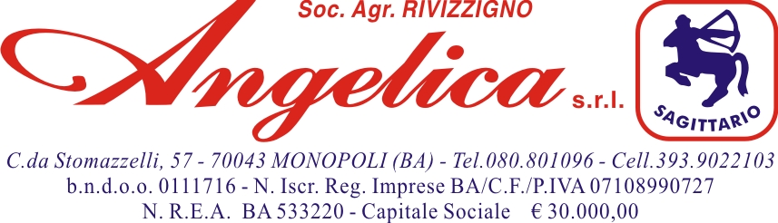ANGELICA SRL